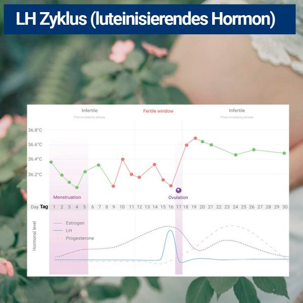 Ovulationstest LH-Test 25miu/ml - optimale Grenze/Sensitivität - Ovulationsteststreifen - Teststreifen für Urin - Image 6