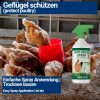 1000ml Milbenspray für Geflügel wie Hühner & Vögel - Sofort & Langfristig gegen Parasiten, bei Akut & Vorbeugung – Image 6